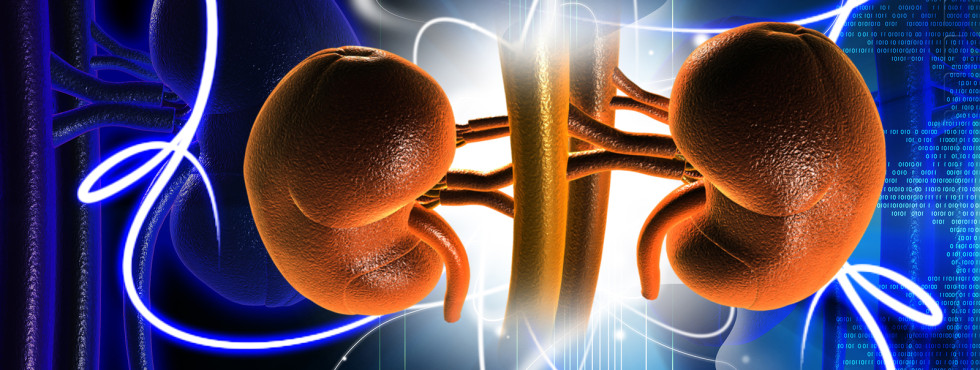 Kidney Transplant in ahmedabad